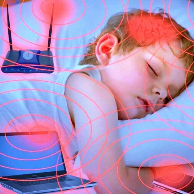 The Smart Shield (EMF, Wifi, RF Radiation Protection)